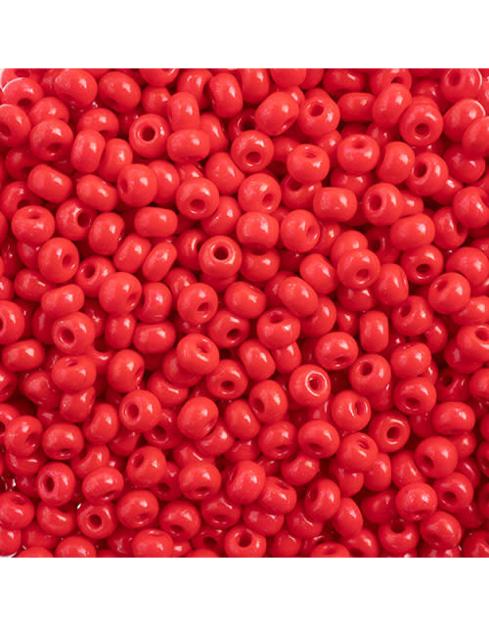 Czech 443227  6  Seed Opaque Red Terra Intensive