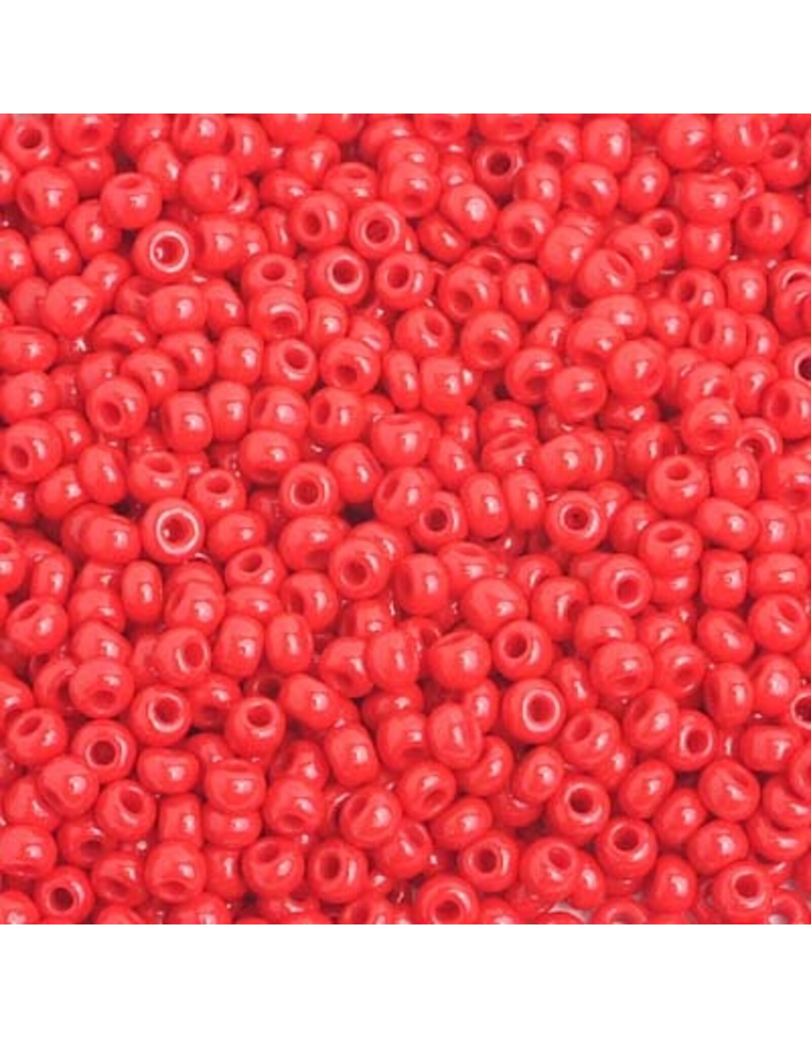 Czech 201003  8  Seed  Opaque Medium Red