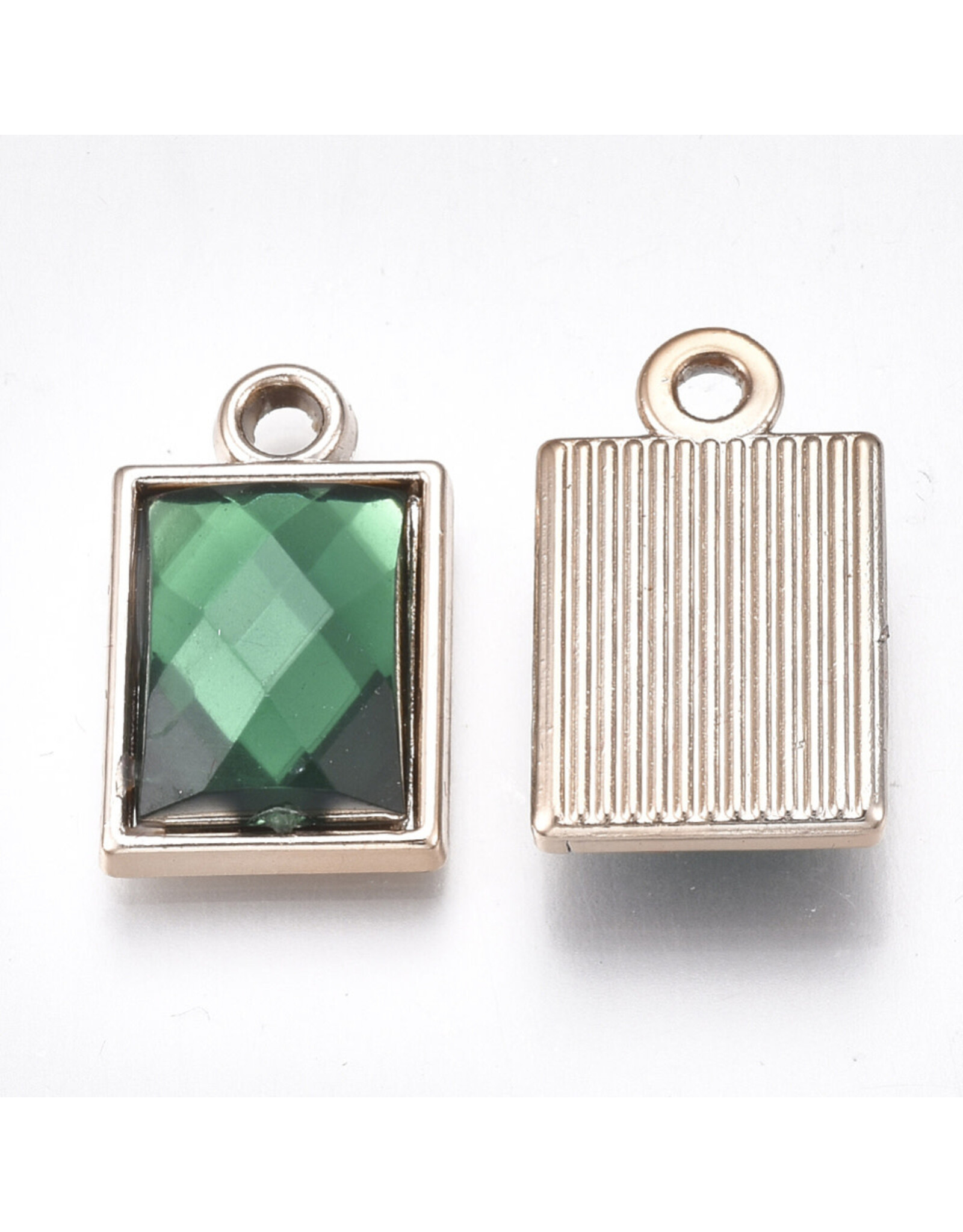 Rectangle Pendant Acrylic 21x13mm x2