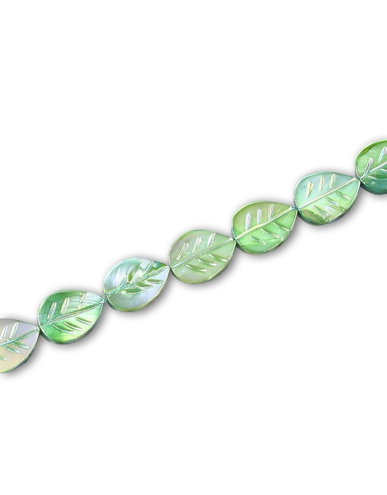 15x11mm Natural  Shell  Leaf Dyed x10
