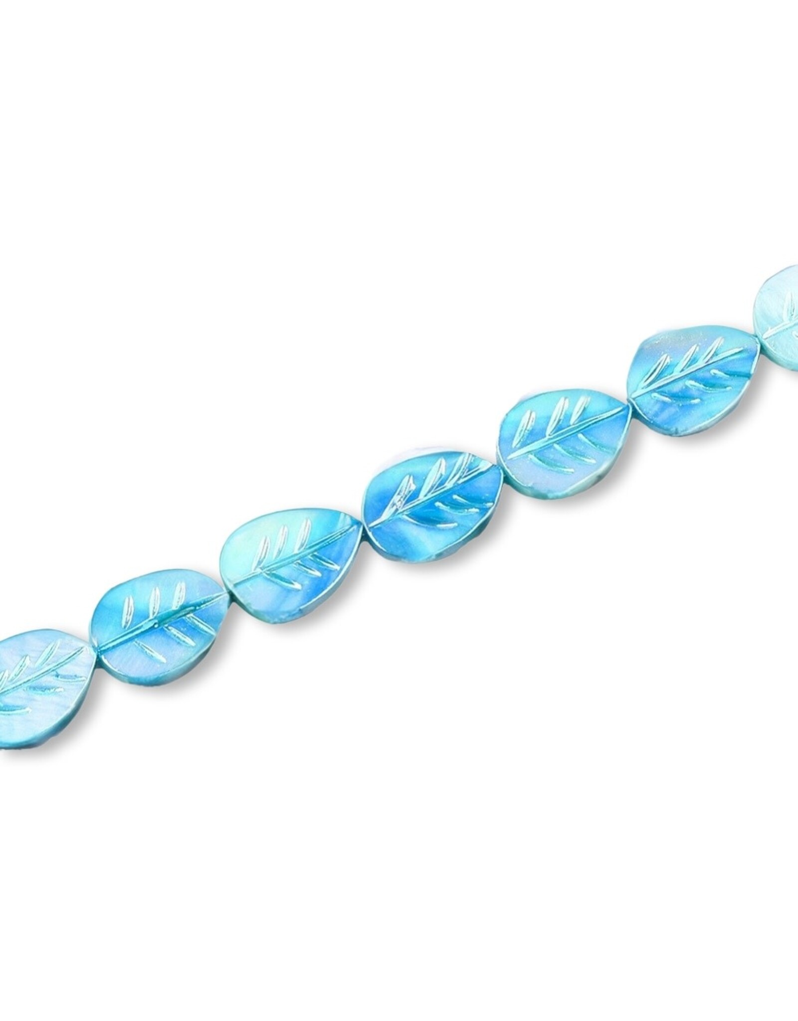 15x11mm Natural  Shell  Leaf Dyed x10