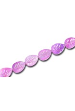 15x11mm Natural  Shell  Leaf Dyed x10