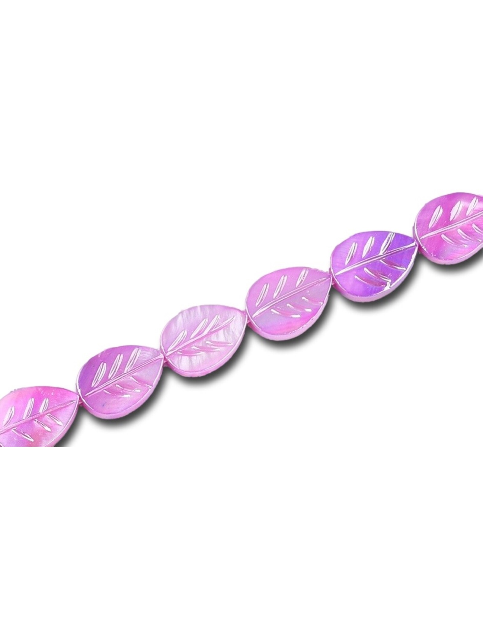 15x11mm Natural  Shell  Leaf Dyed x10