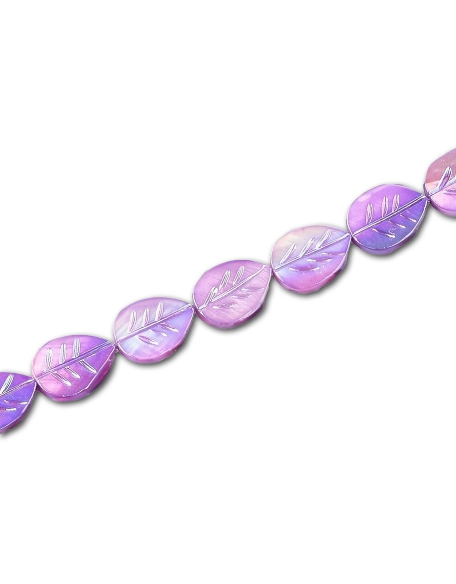 15x11mm Natural  Shell  Leaf Dyed x10