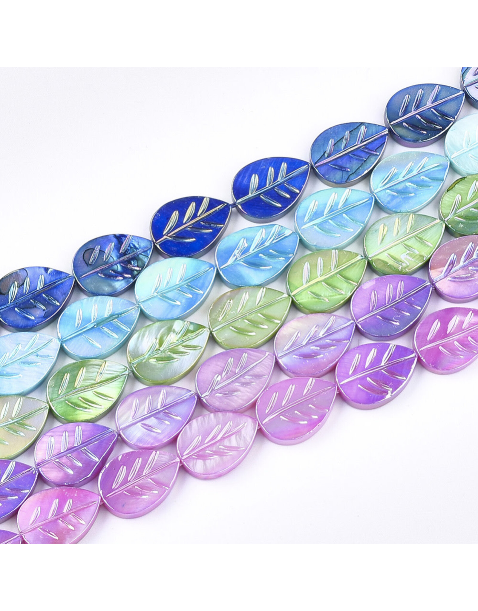 15x11mm Natural  Shell  Leaf Dyed x10