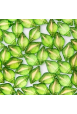 Matubo Gemduo 2 Hole 8x5mm  Lime Halo   x40
