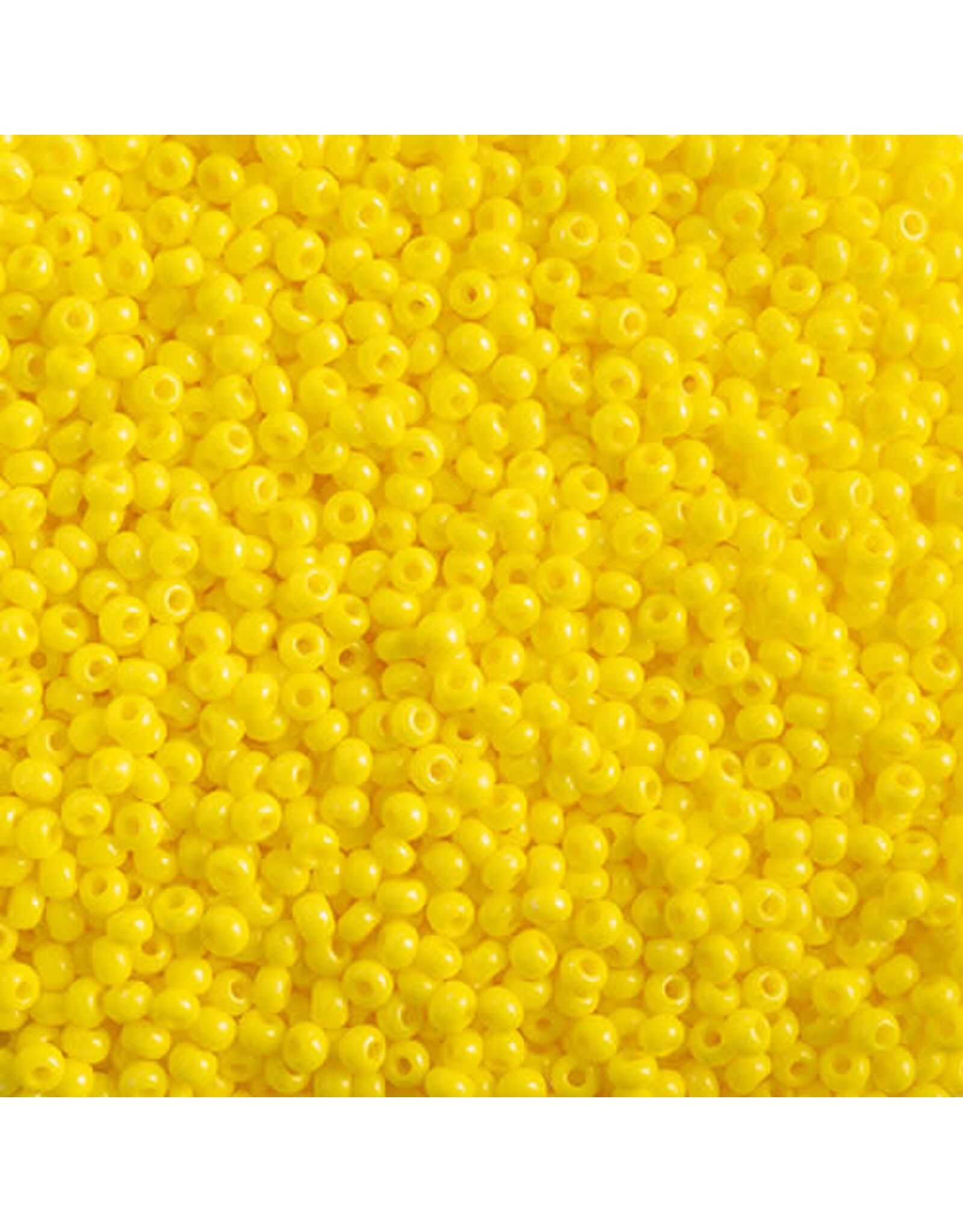 Czech 43111 10  Seed  Opaque Yellow Terra Intensive