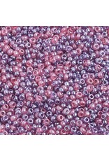 Czech 2012 10  Seed   Purple /Pink Lustre Mix