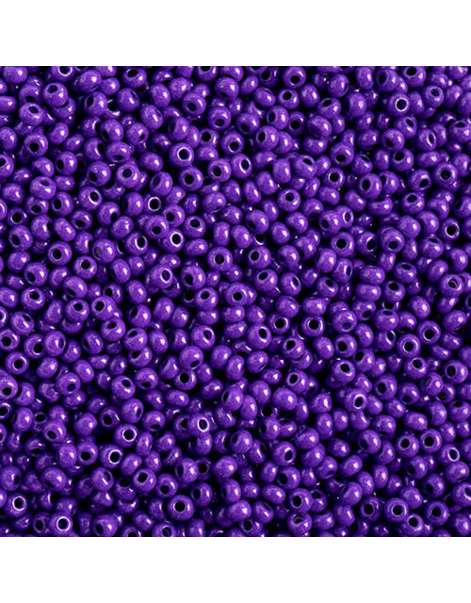 Czech 43116 10  Seed  Opaque Purple Terra Intensive