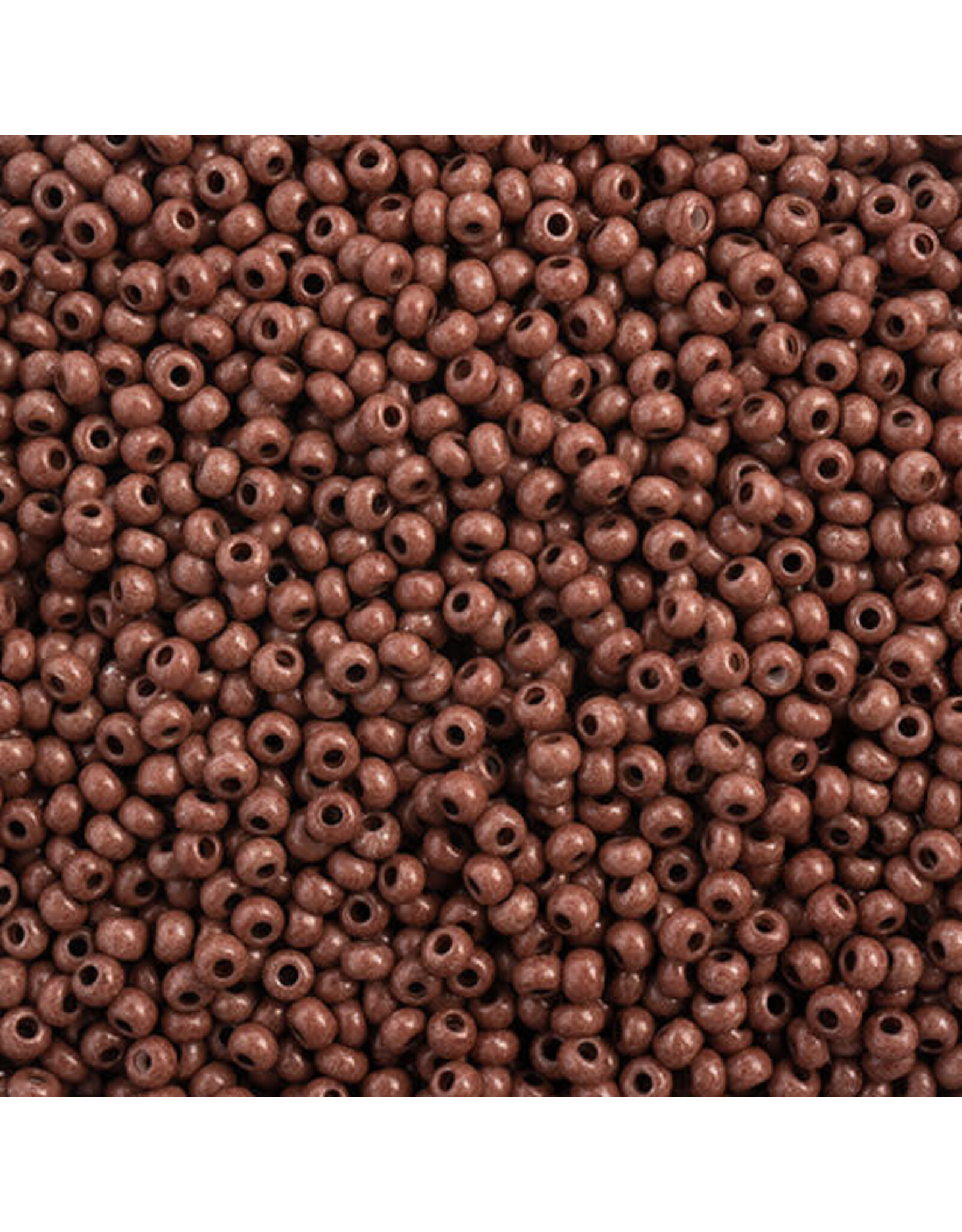 Czech 43120  10  Seed  Opaque Brown Terra Intensive