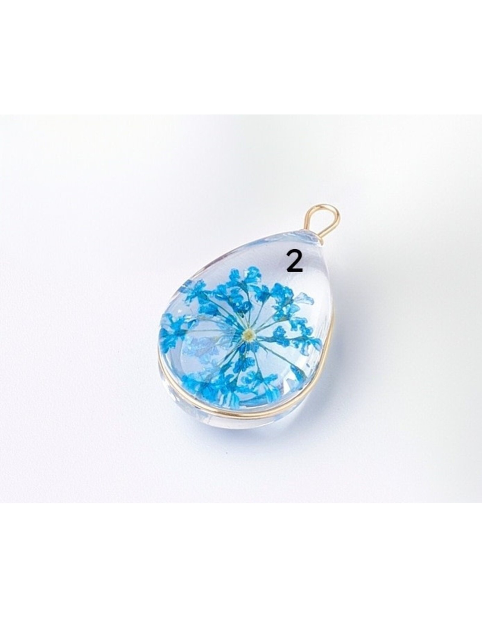 Drop With Dried Flowers   Clear 24x13x8mm  x1