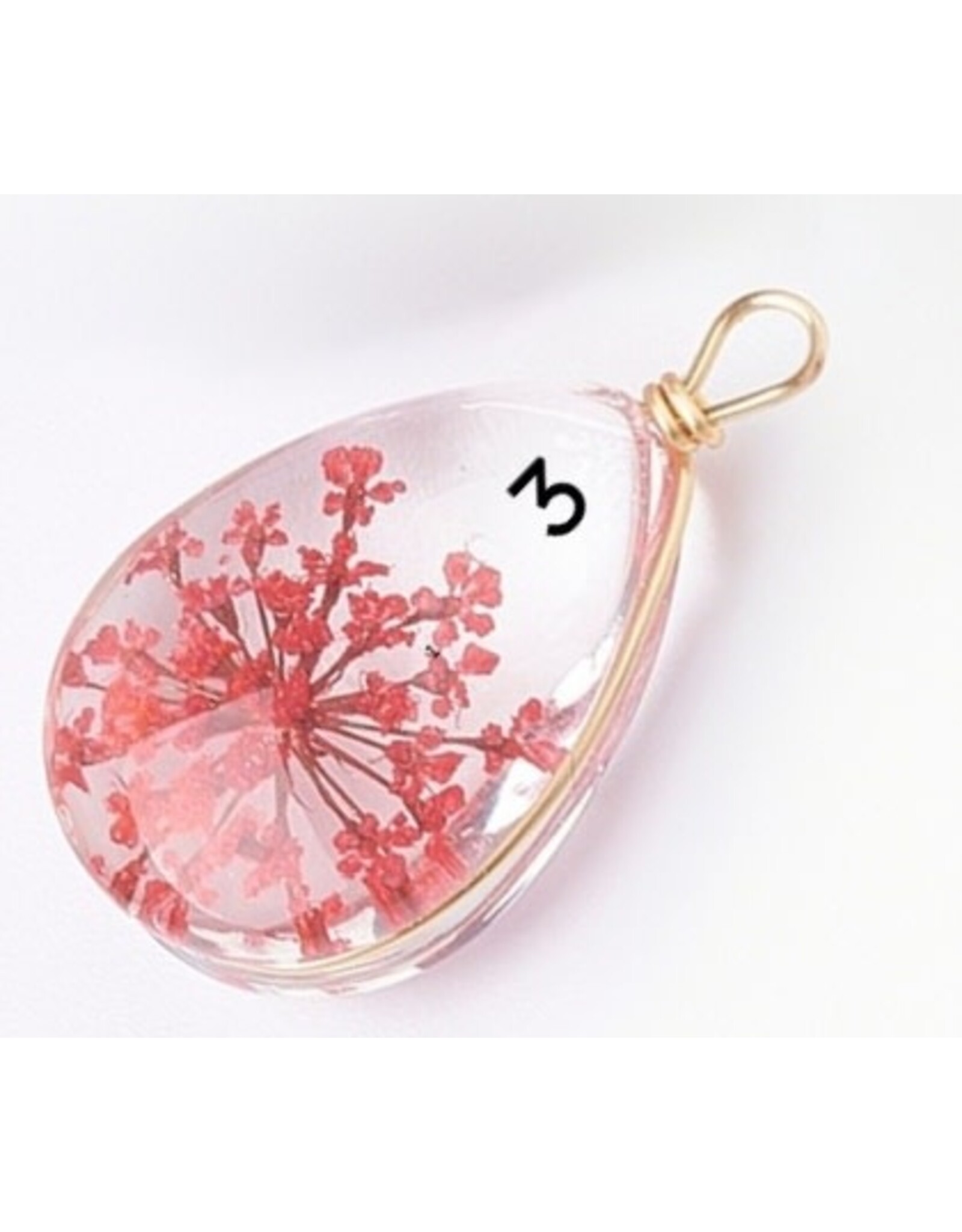 Drop With Dried Flowers   Clear 24x13x8mm  x1