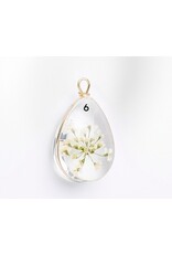 Drop With Dried Flowers   Clear 24x13x8mm  x1