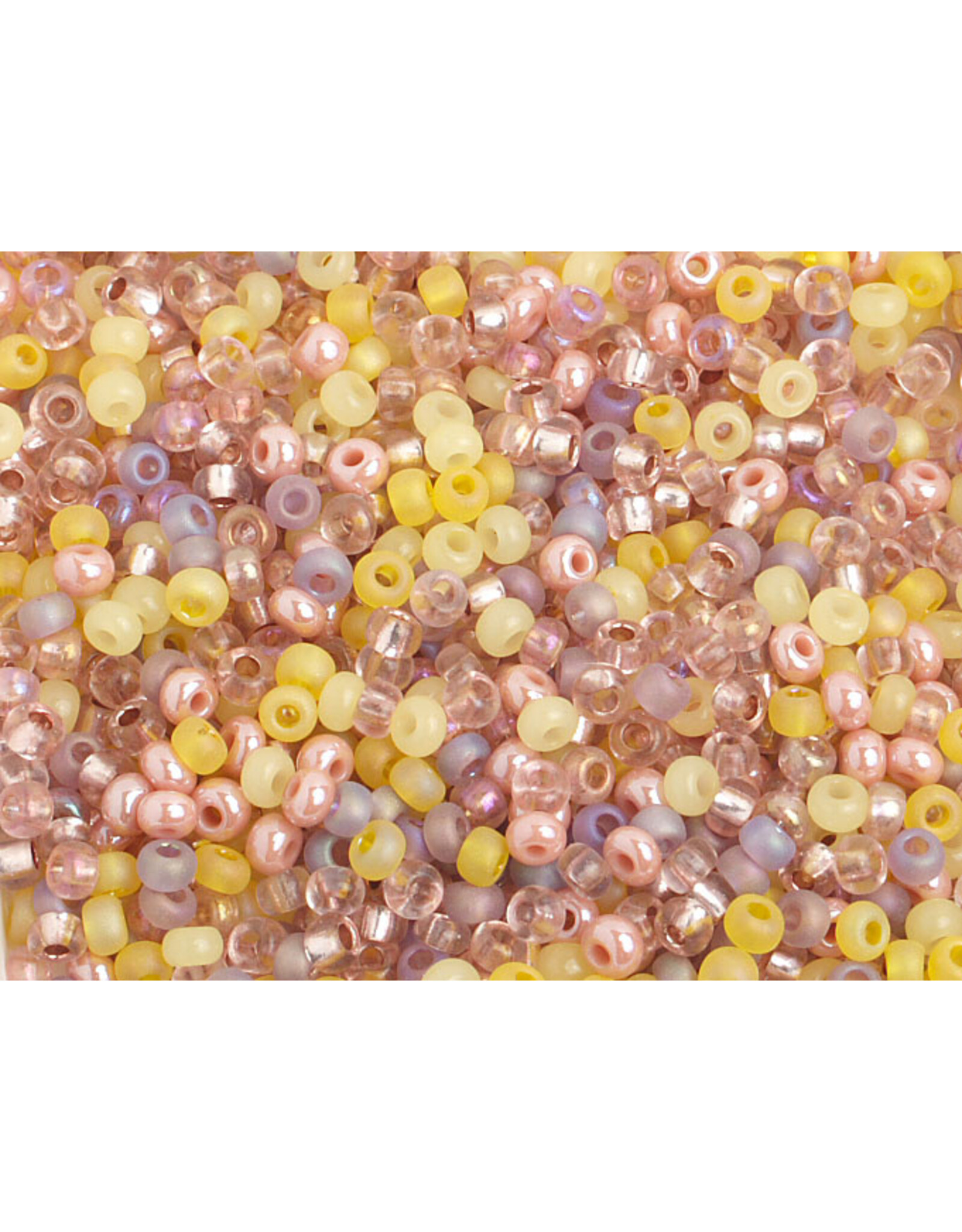 Czech 20098 8  Seed 20g  Brown Yellow Mix