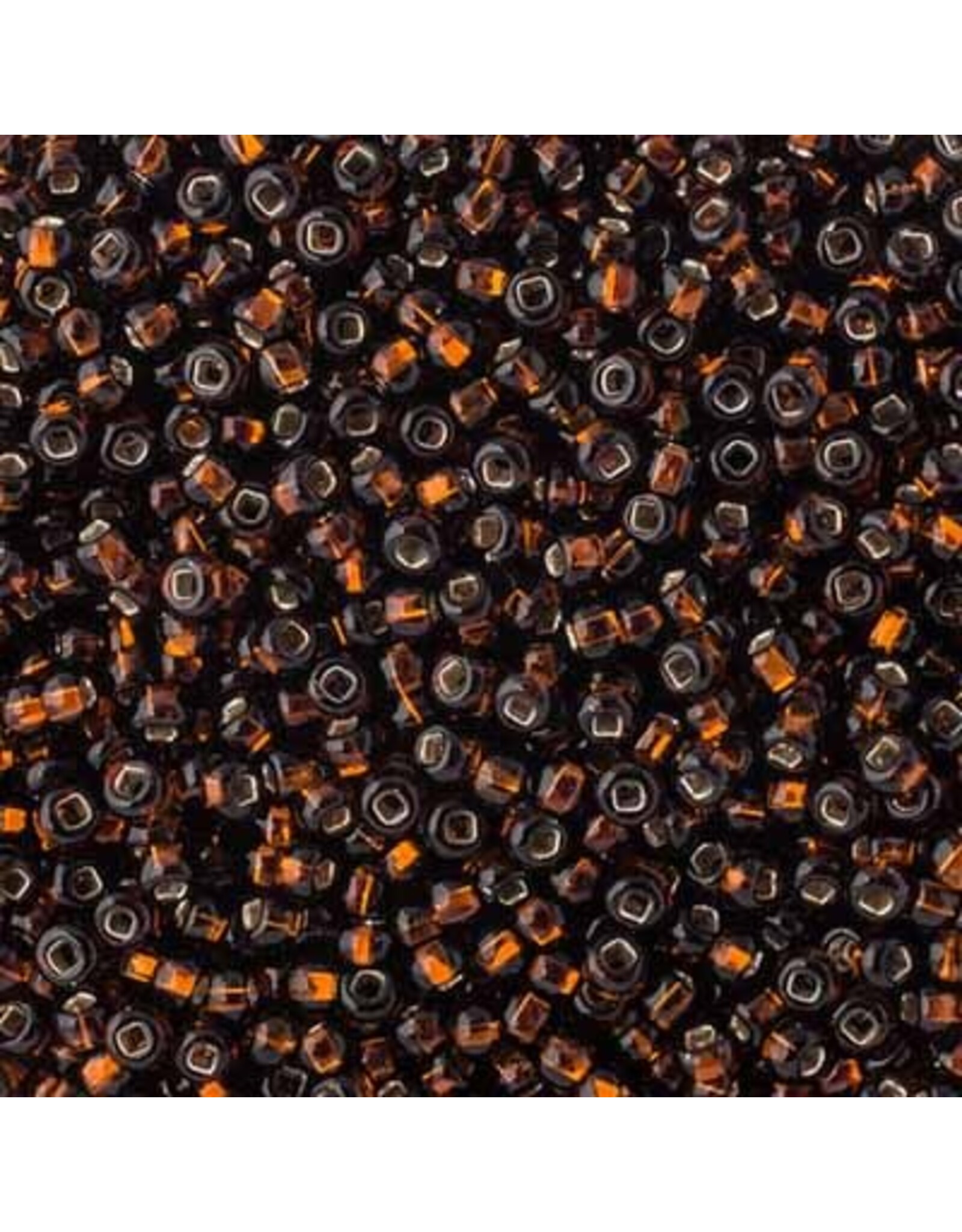 Czech 201703 8 Seed Dark Brown s/l