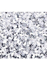 Miyuki db670 11 Delica  Clear AB Satin