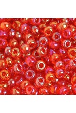 Czech 401671  6  Seed  Transparent  Orange  AB