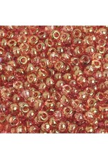 Czech 401053  6  Seed   Transparent Red Bronze Lustre