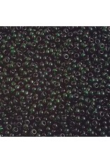 Czech 1176 10  Seed  Transparent Dark Green