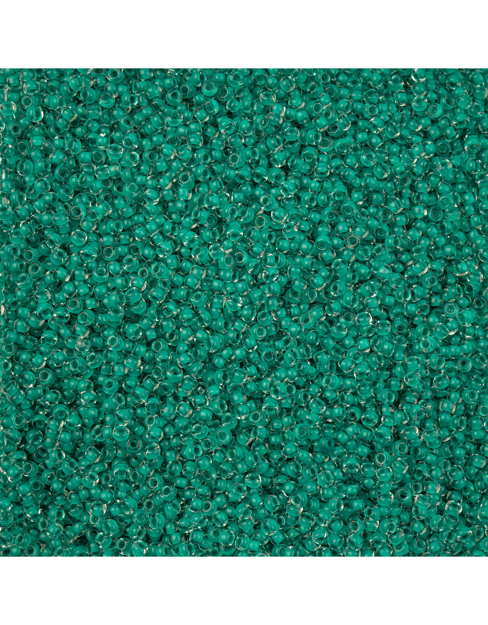 Czech 1539 10 Seed Terra Intensive Dark Green c/l