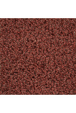 Czech 1548 10 Seed Brown c/l Terra Intensive