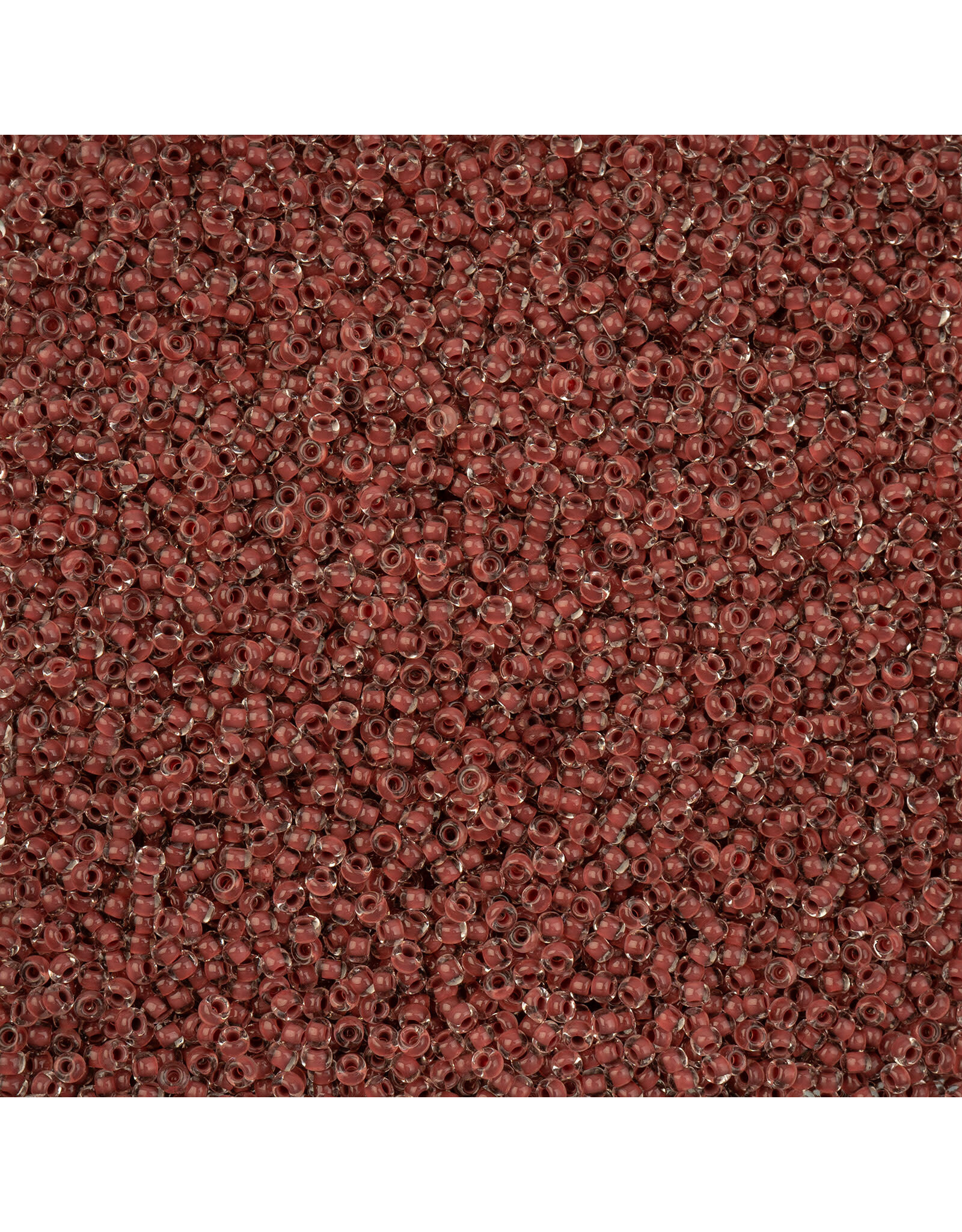 Czech 1548 10 Seed Brown c/l Terra Intensive