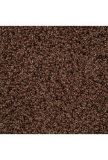 Czech 1549 10 Seed Dark Brown c/l Terra Intensive