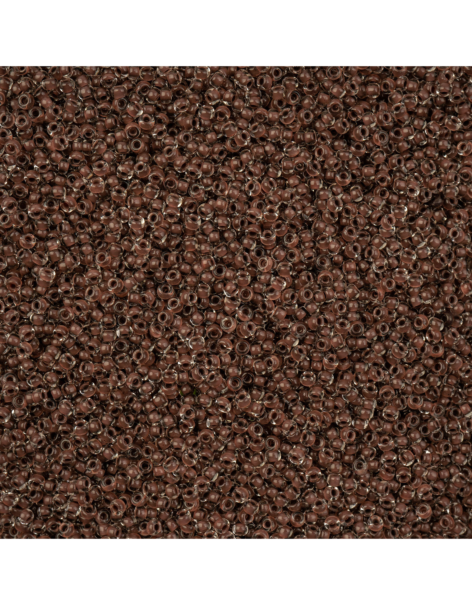 Czech 1549 10 Seed Dark Brown c/l Terra Intensive