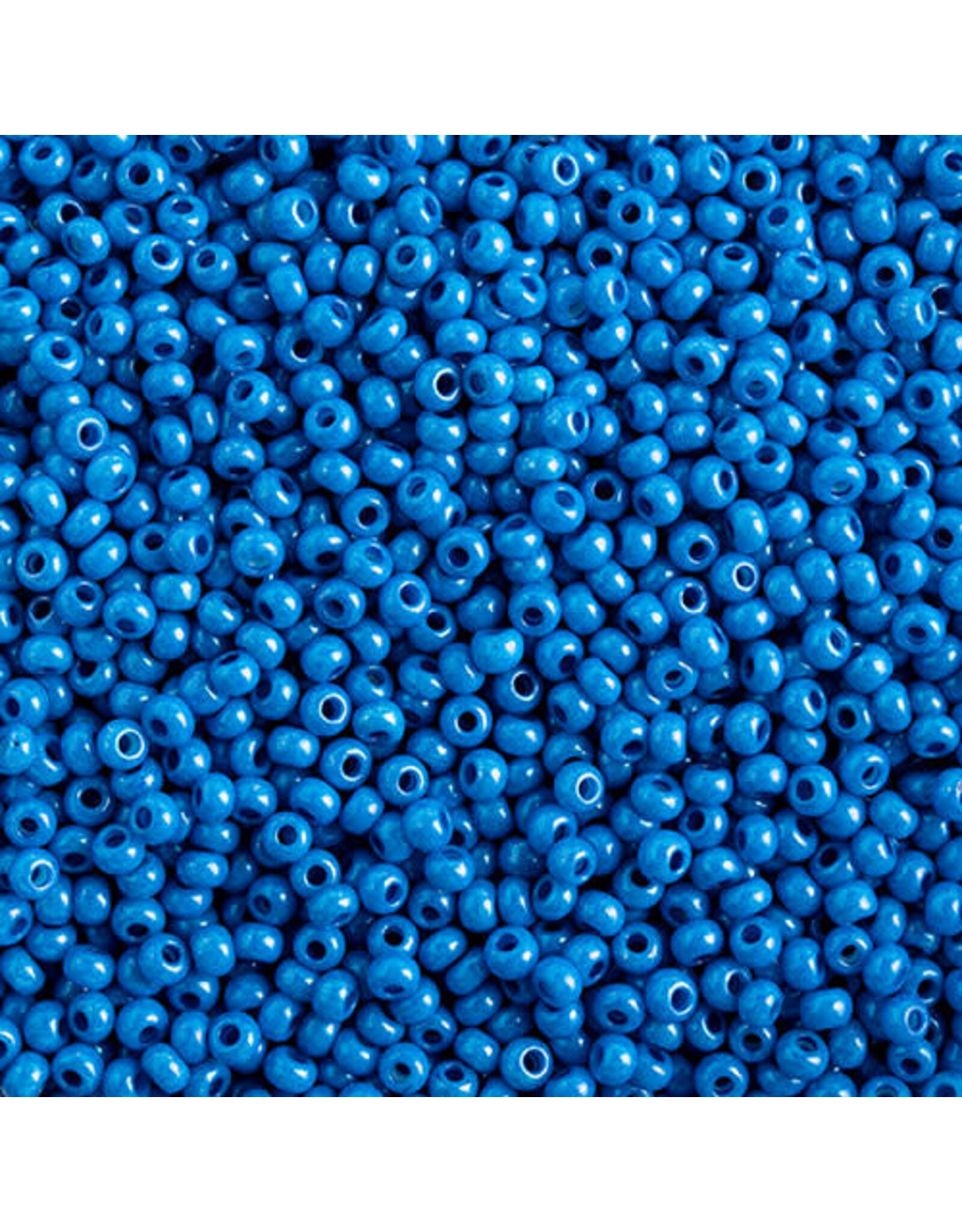 Czech 43117 10  Seed  Opaque Blue Terra Intensive