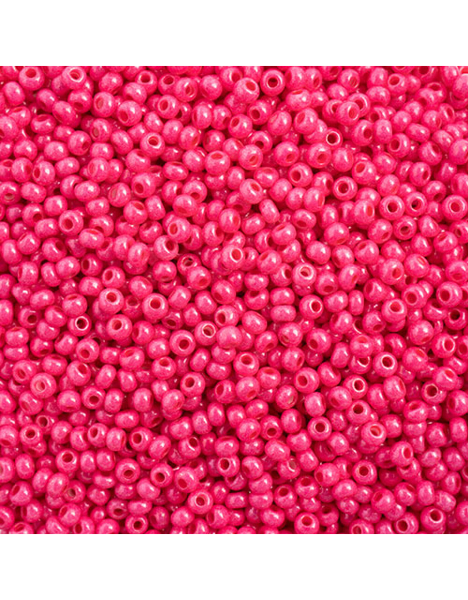 Czech 43113 10  Seed  Opaque Rose Terra Intensive