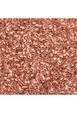Czech 35358 10 Seed Clear Copper Lined