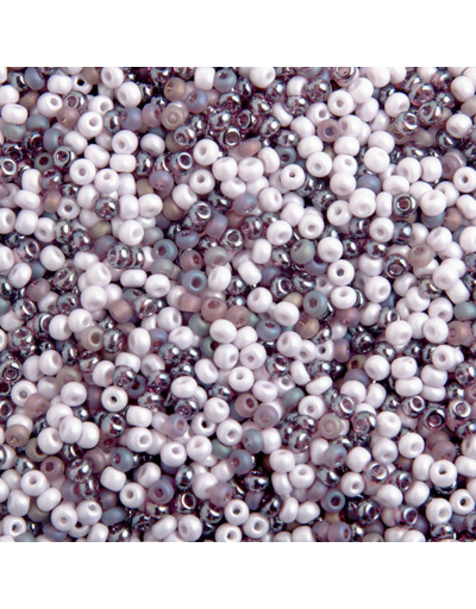 Czech 40080 6 Seed Purple Mix