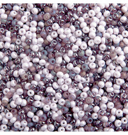 Czech 40080 6 Seed Purple Mix