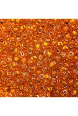 Czech 443201 6 Seed Light Orange s/l