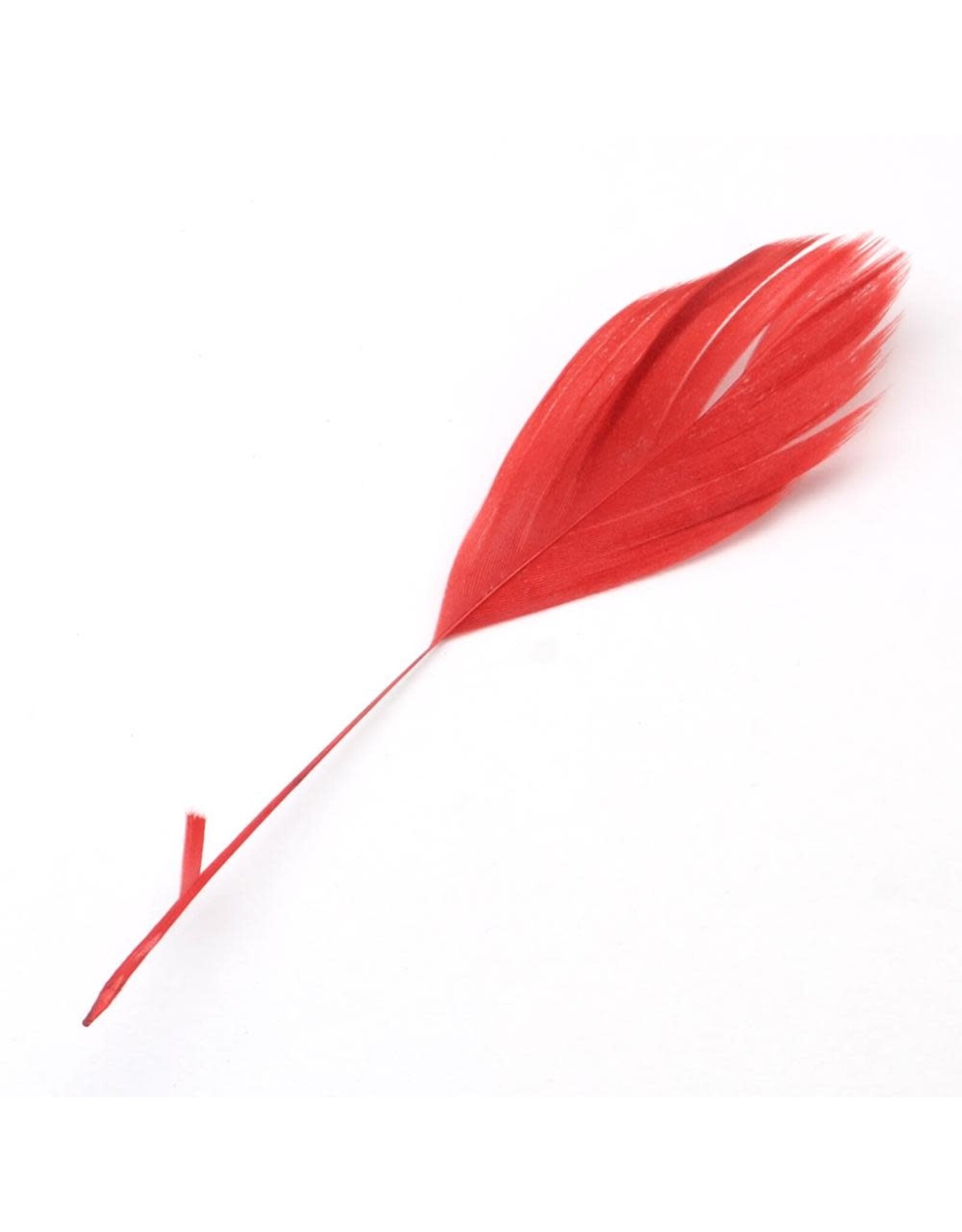 Feather Red  130-190mm  x10