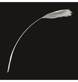 Feather White 130-190mm  x10
