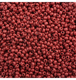 Czech 43119 10  Seed   Opaque Brown Terra Intensive