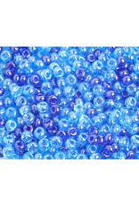 Czech 40134  6 Seed   Blue Lustre Mix