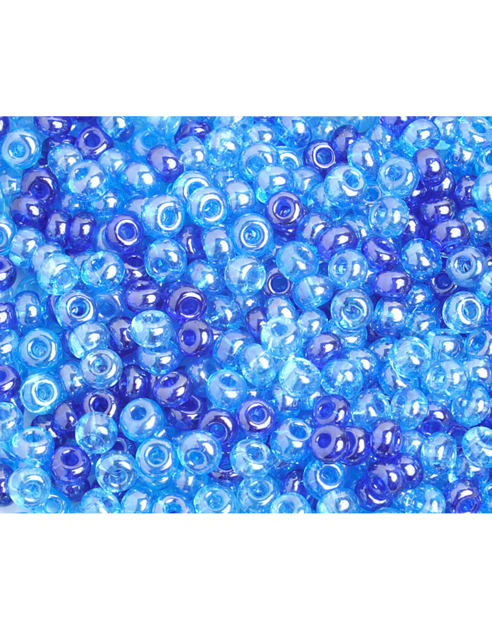 Czech 40134  6 Seed   Blue Lustre Mix