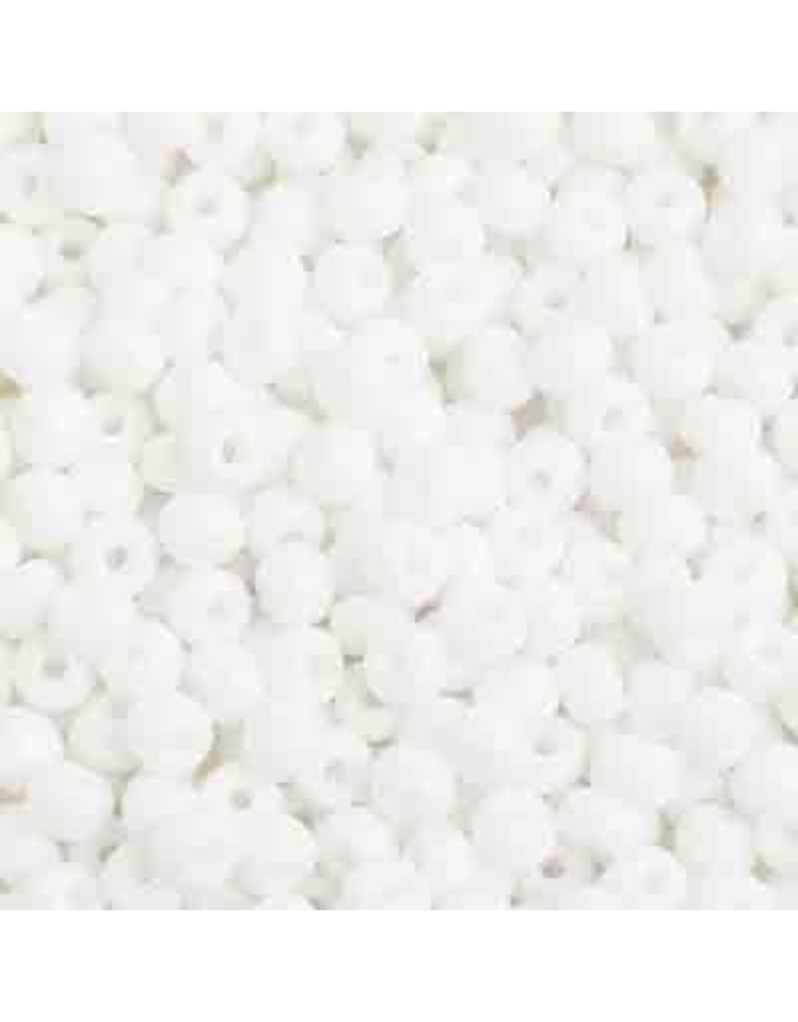 Czech 629255 4  Seed  Opaque White