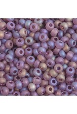 Czech 601002 4  Seed  Transparent Purple AB mt