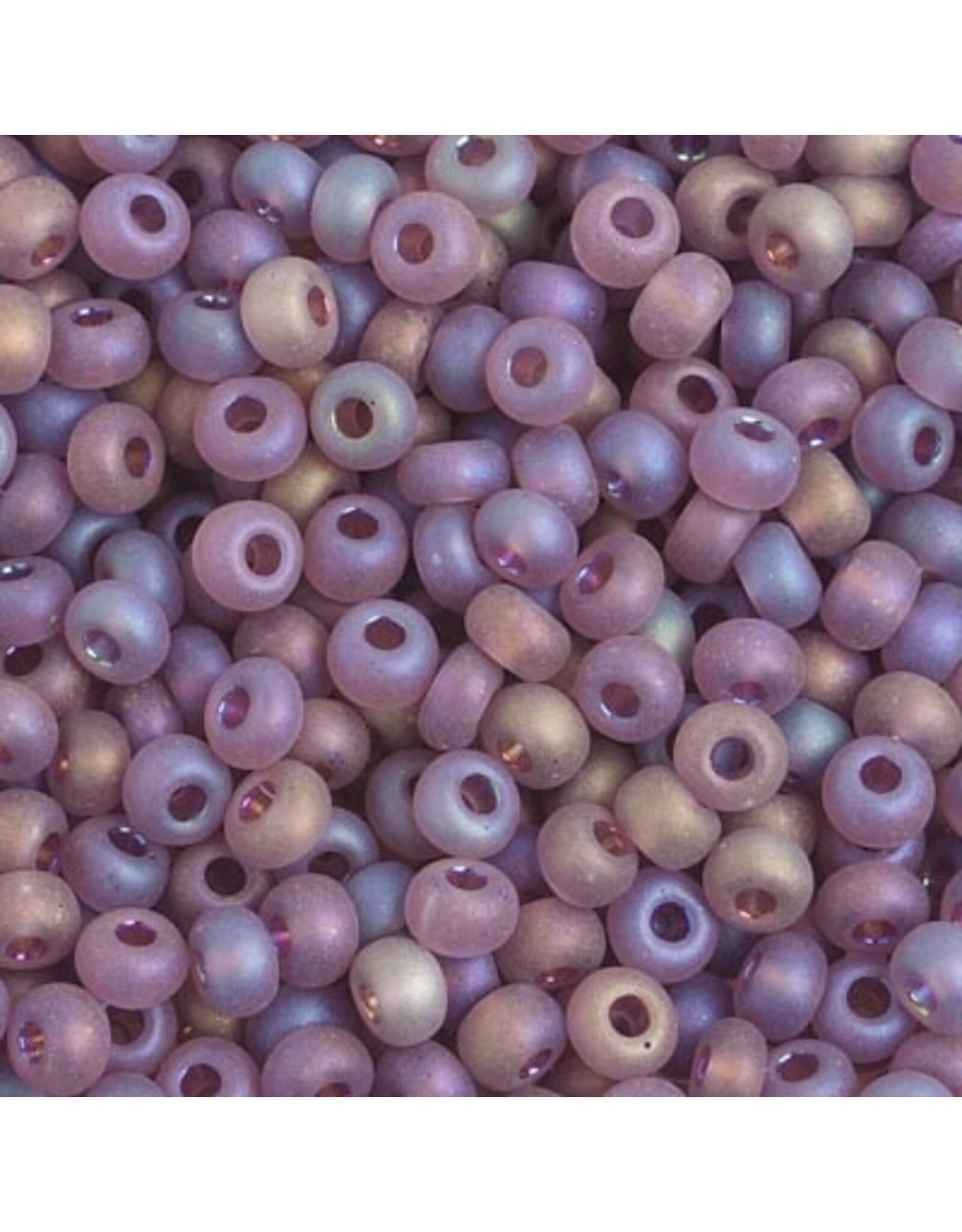 Czech 601002 4  Seed  Transparent Purple AB mt