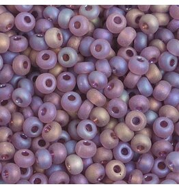 Czech 601002 4  Seed  Transparent Purple AB mt