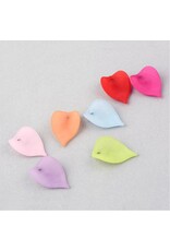 20x14mm Acrylic Leaf Random Mix   x50