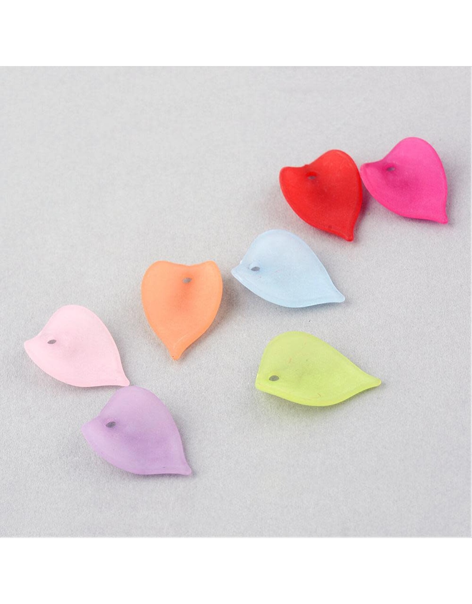 20x14mm Acrylic Leaf Random Mix   x50