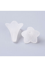 21x23mm Acrylic Flower Clear Matte  x12