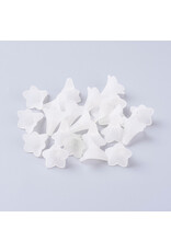 21x23mm Acrylic Flower Clear Matte  x12