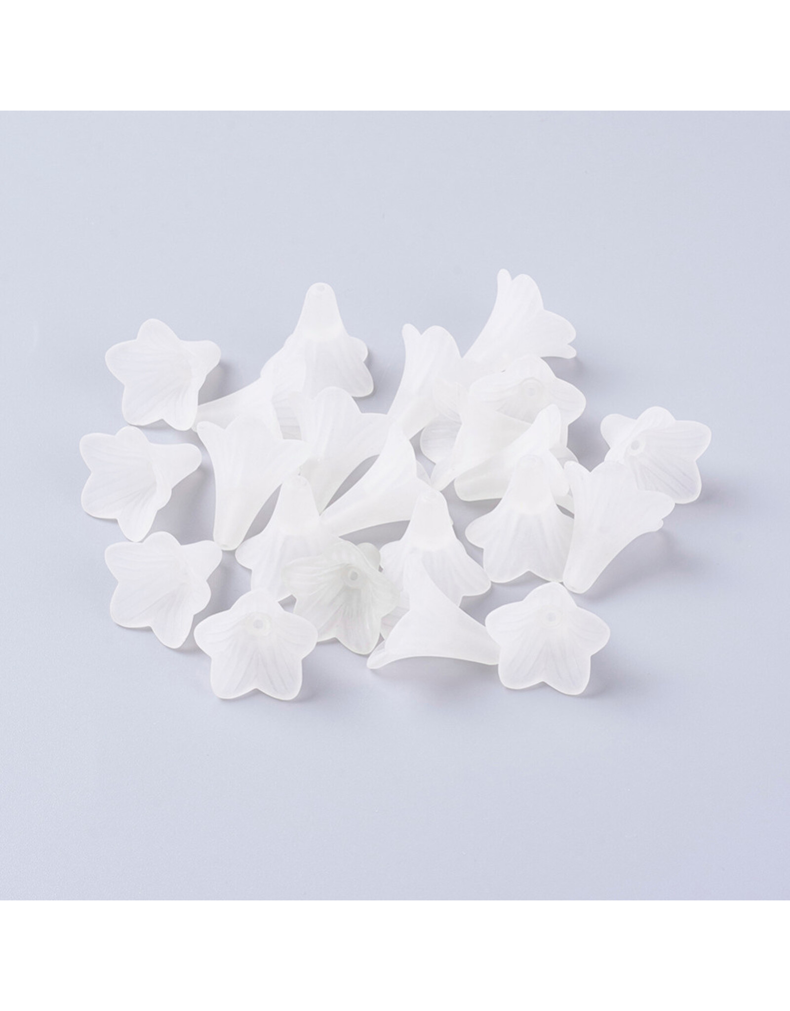 21x23mm Acrylic Flower Clear Matte  x12