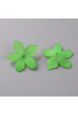 20mm Acrylic Flower x50