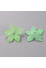 20mm Acrylic Flower x50